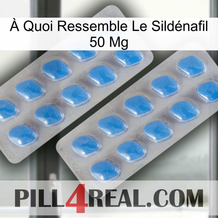 À Quoi Ressemble Le Sildénafil 50 Mg 23
